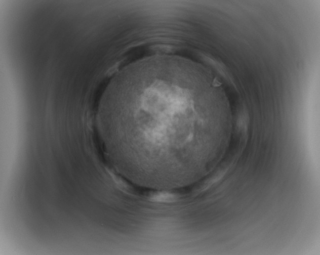 X0000113960759200910021525