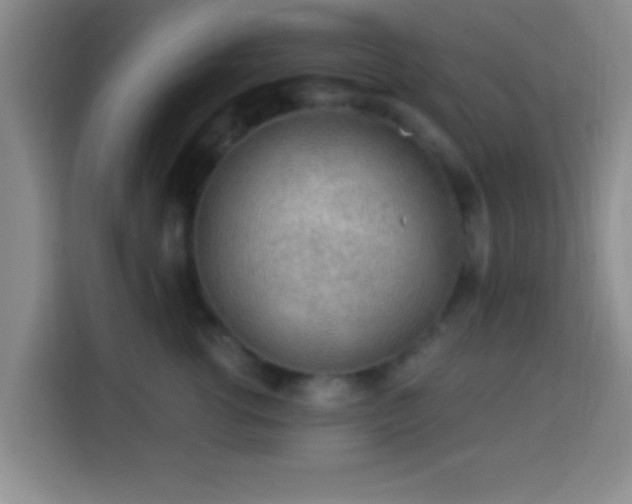 X0000113960762200910021525