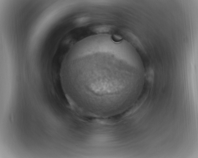 X0000113960763200910021525