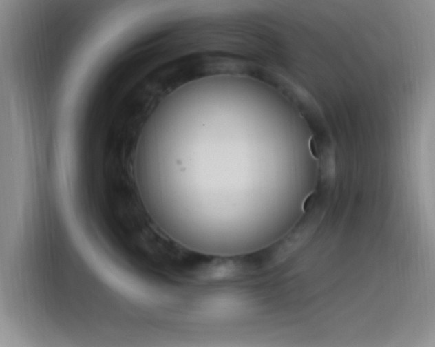 X0000113960764200910021525