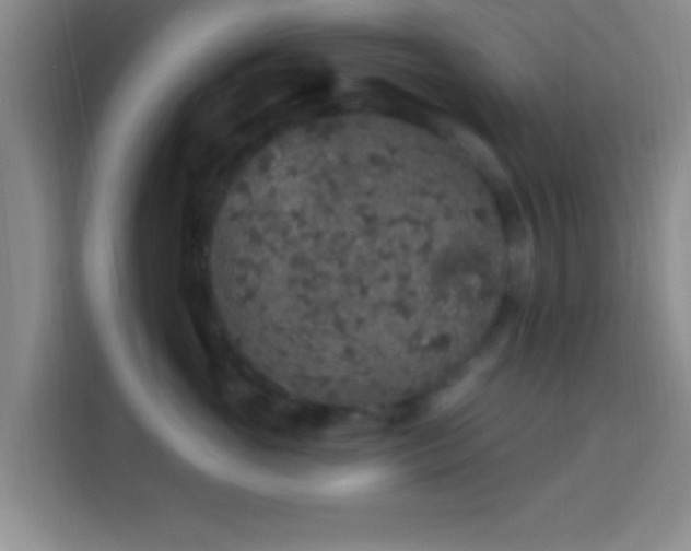 X0000113960765200910021525