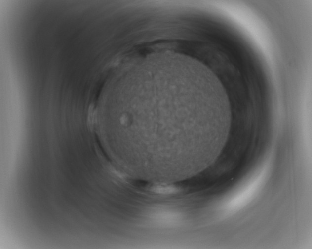 X0000113960767200910021526