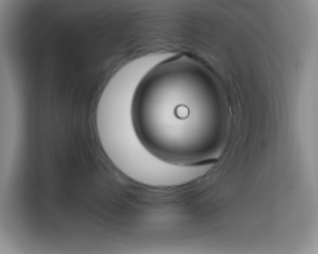 X0000113960768200910021526