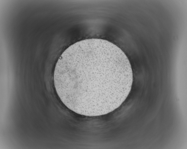 X0000113960769200910021525