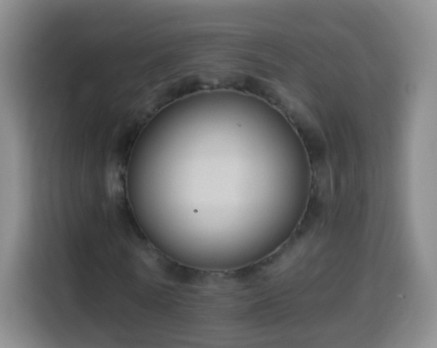 X0000113960770200910021525