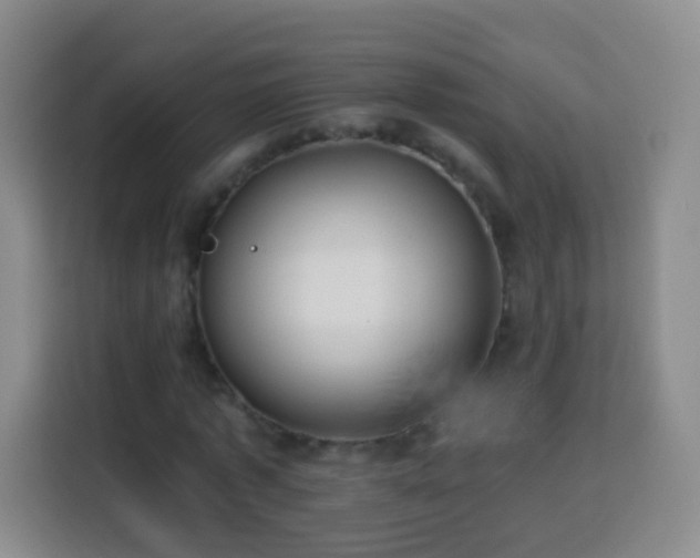 X0000113960773200910021525