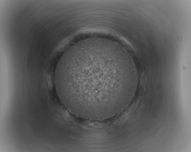 X0000113960774200910021525