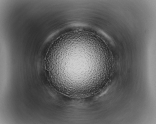 X0000113960775200910021525