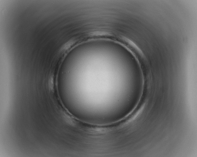 X0000113960777200910021525