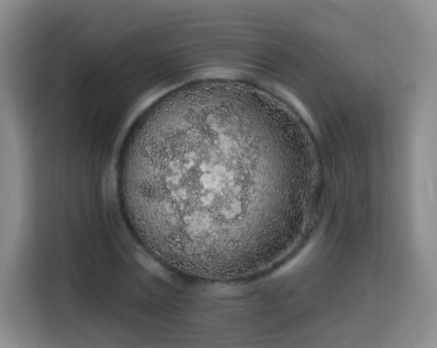 X0000113960779200910021525