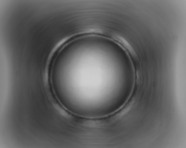 X0000113960780200910021525