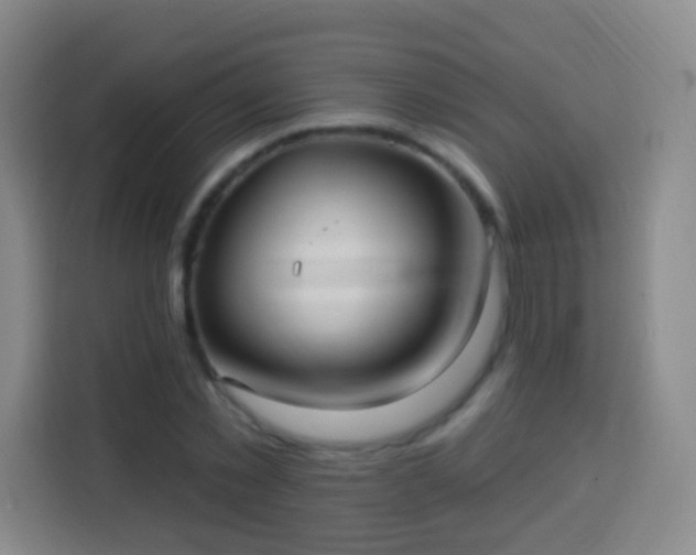 X0000113960781200910021525