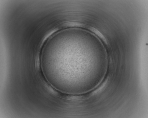 X0000113960782200910021525