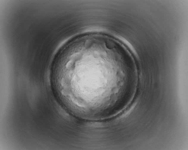 X0000113960783200910021525