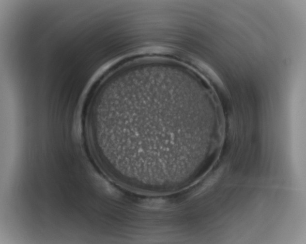 X0000113960784200910021525