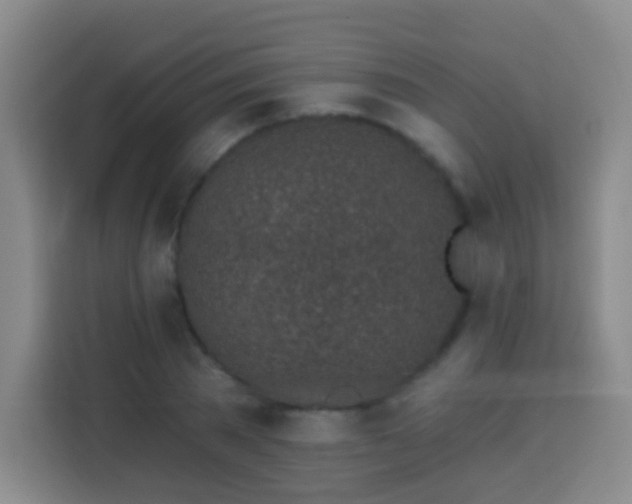 X0000113960785200910021525