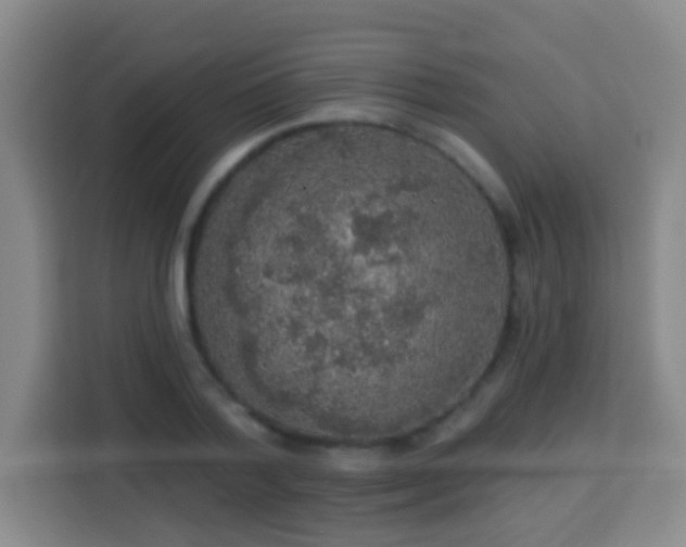 X0000113960788200910021525