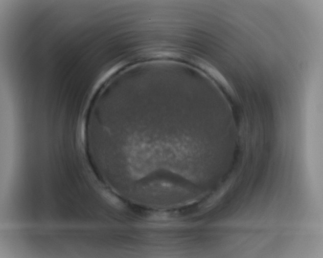 X0000113960790200910021525