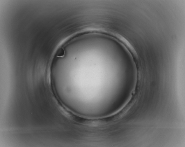 X0000113960791200910021525