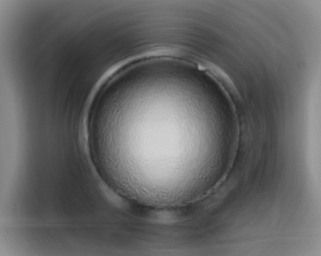 X0000113960792200910021525