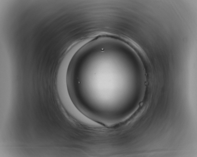 X0000113960793200910021525