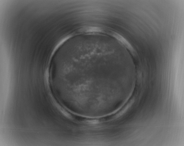 X0000113960798200910021525