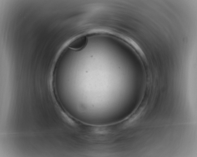 X0000113960799200910021525