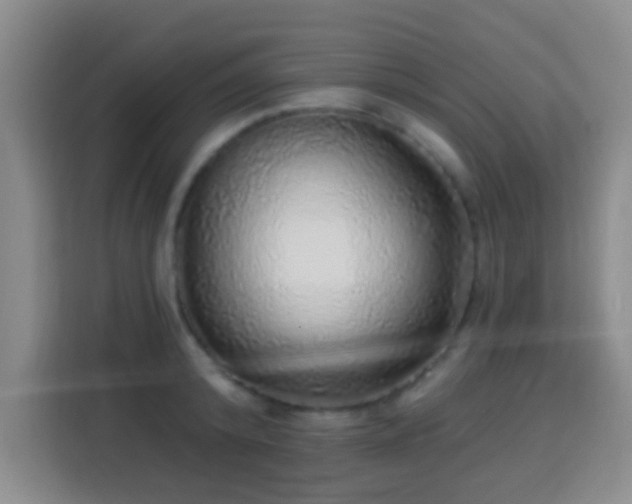 X0000113960800200910021525