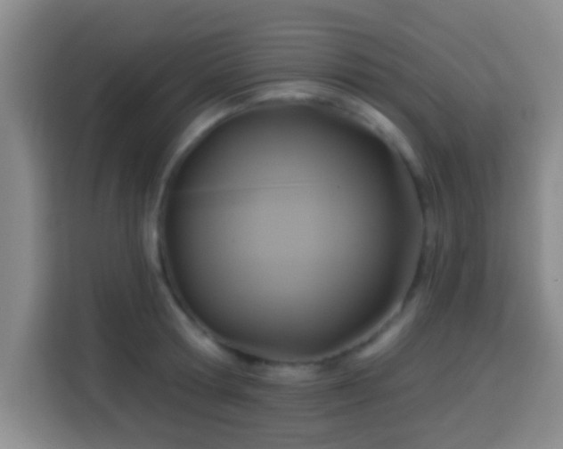 X0000113960802200910021524