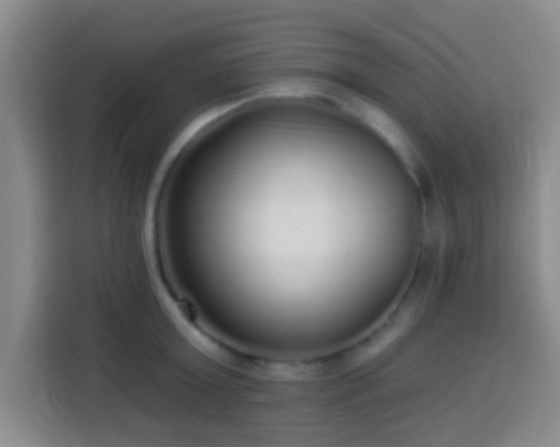 X0000113960803200910021524