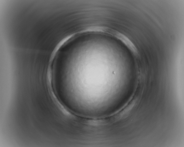 X0000113960804200910021524