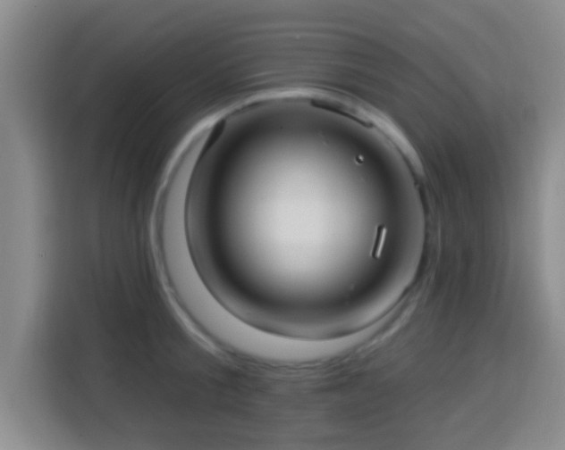 X0000113960805200910021524