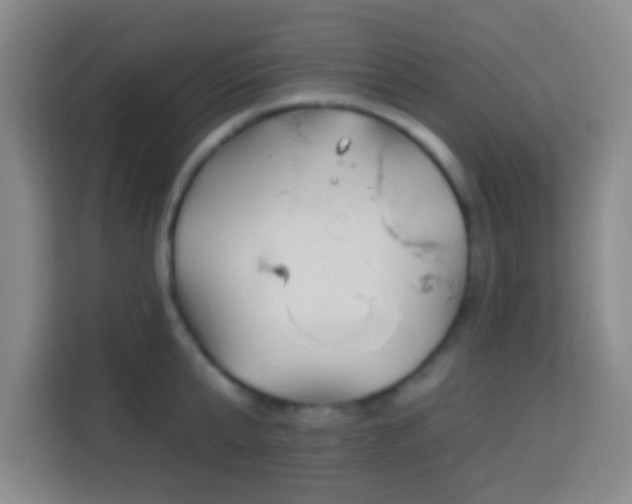 X0000113960807200910021524