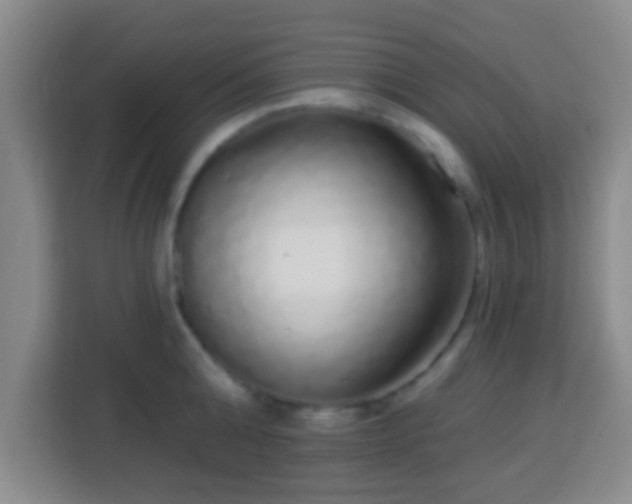 X0000113960808200910021524