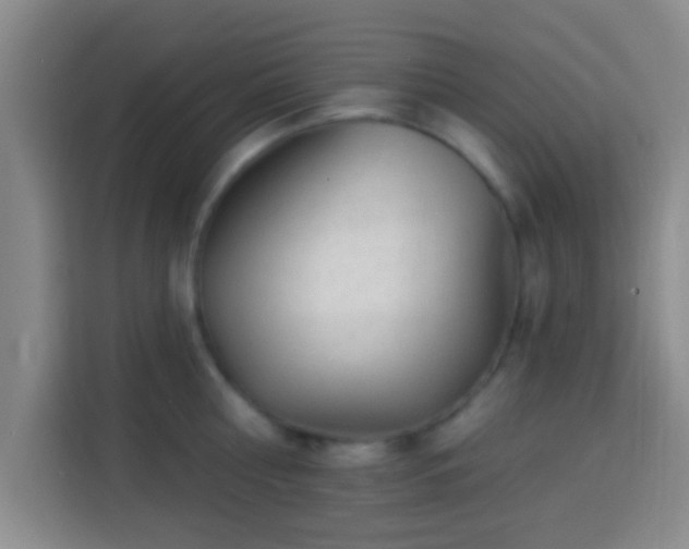 X0000113960810200910021524