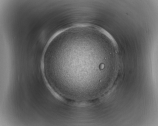 X0000113960811200910021524