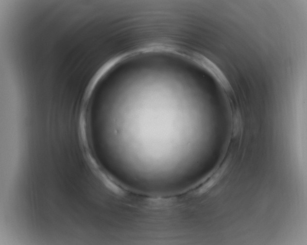 X0000113960812200910021524