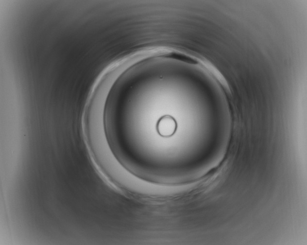 X0000113960813200910021524