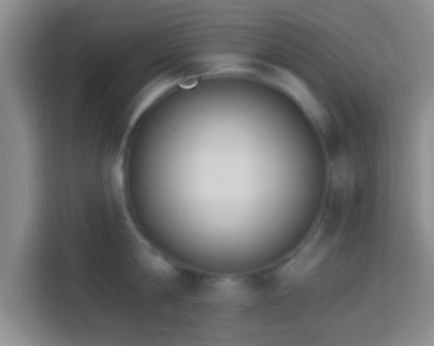 X0000113960814200910021524