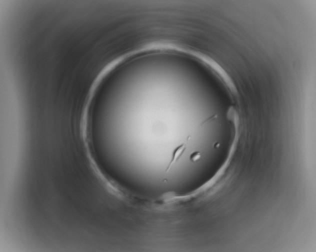 X0000113960815200910021524