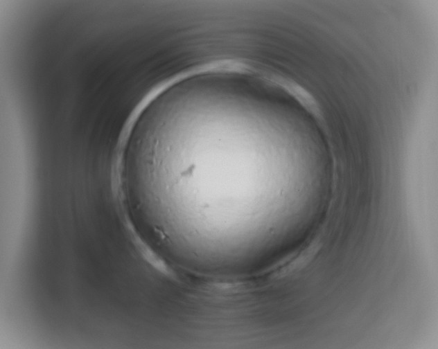 X0000113960816200910021524