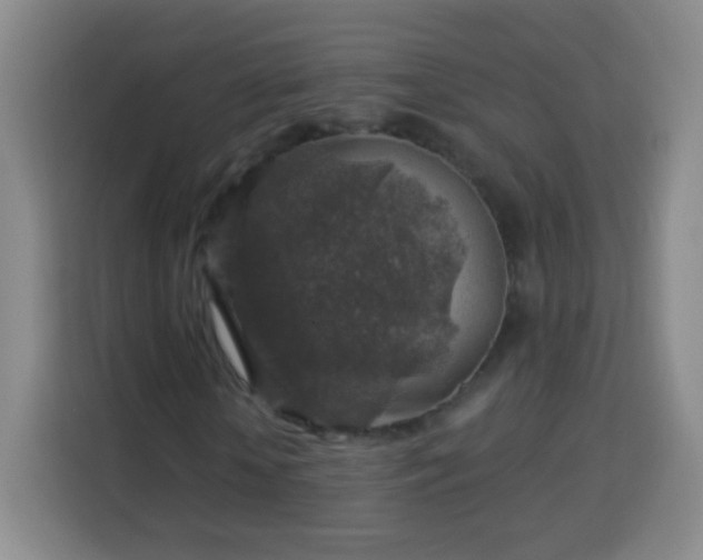 X0000113960818200910021524