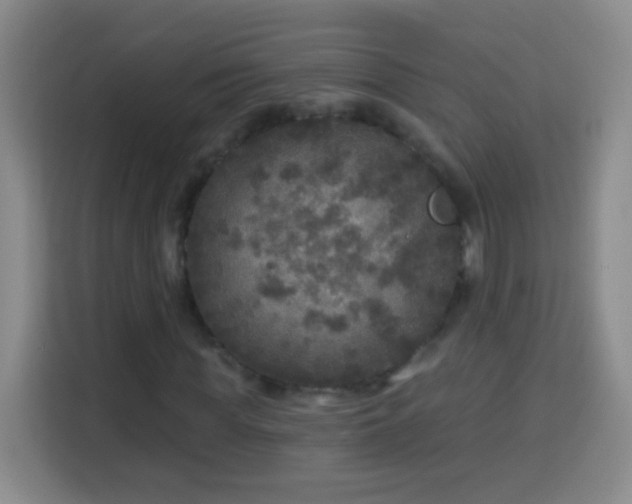 X0000113960819200910021524