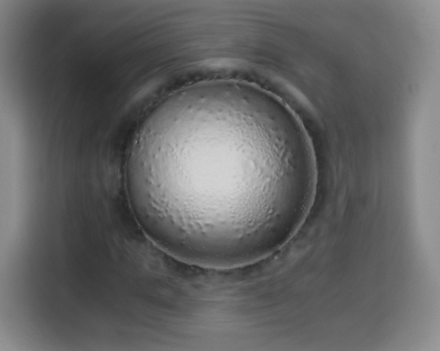 X0000113960821200910021524