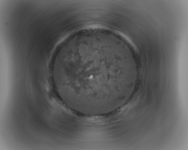 X0000113960823200910021524