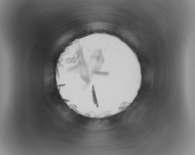 X0000113960824200910021524