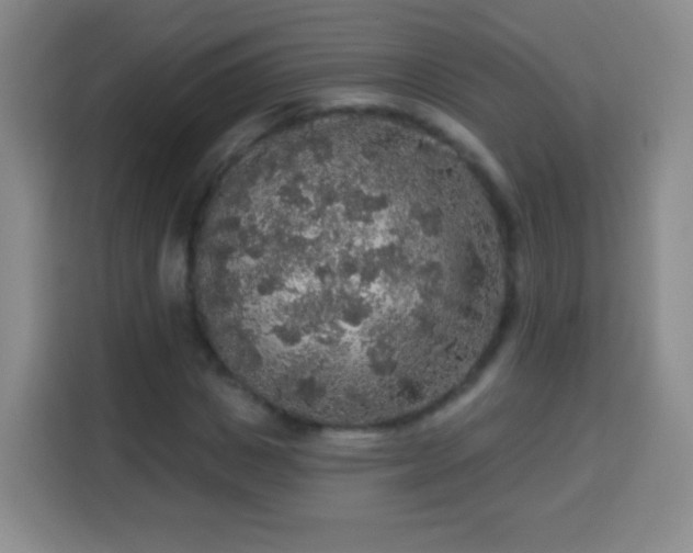 X0000113960825200910021524