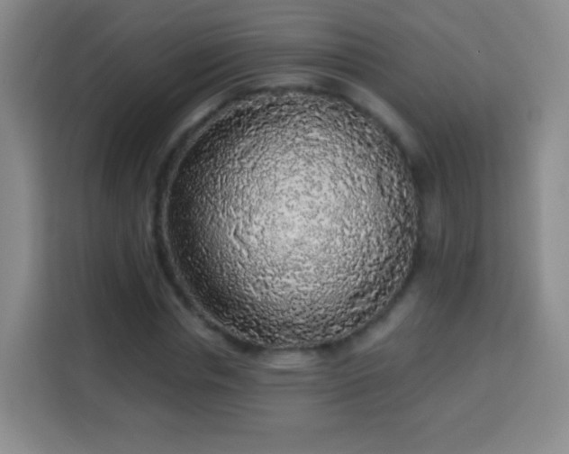 X0000113960826200910021524