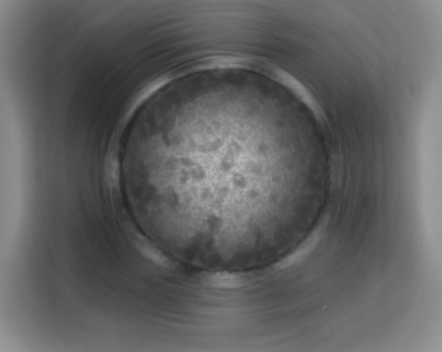 X0000113960827200910021524