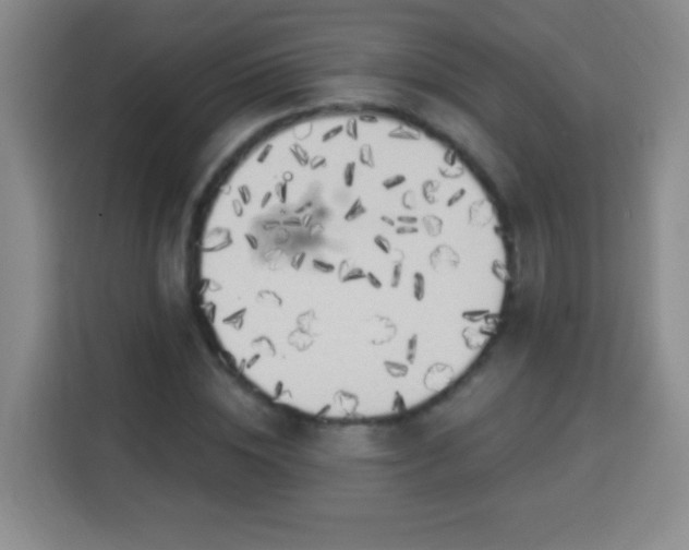 X0000113960828200910021524